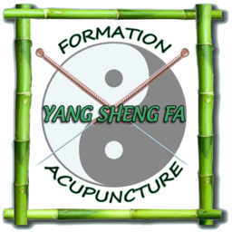 Yang Sheng Fa Logo